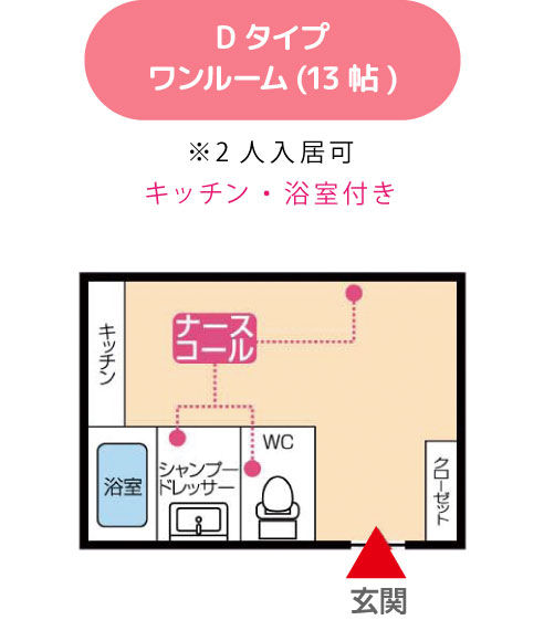 Dタイプワンルーム(13帖)