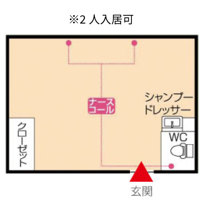 Dタイプワンルーム(13帖)