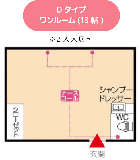 Dタイプワンルーム(13帖)
